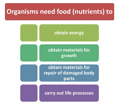 Plant Nutrients Chart