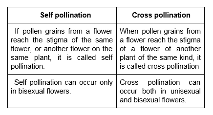 pollination types