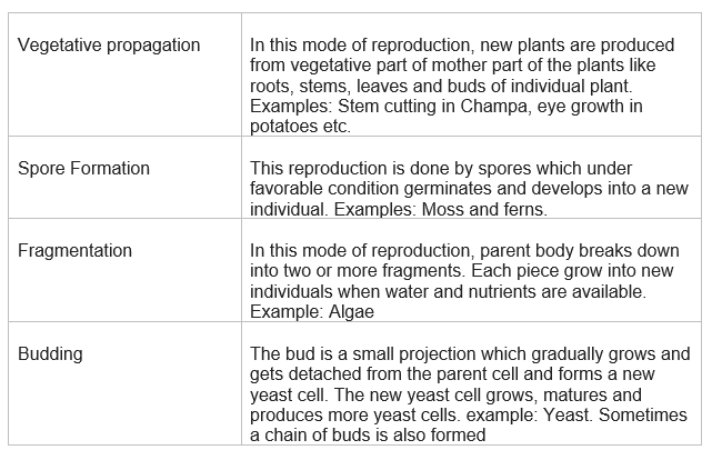 NCERT Solutions for Class 7 Science Chapter 12  Reproduction in Plants