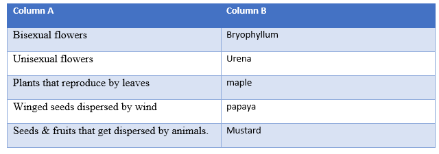 Reproduction of plants Match the column question