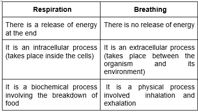 Respiration in Organisms Notes for Class 7 Science