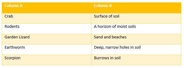 soil worksheet for class 7 science