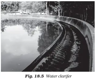 water clarifer in waste water treatment