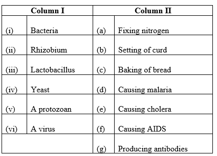 Microorganisms Friend and Foe Class 8 NCERT solutions for Science Chapter 2