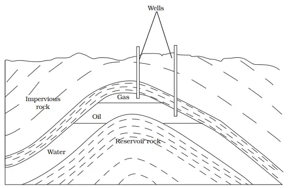 Coal and Petroleum Class 8 : Notes