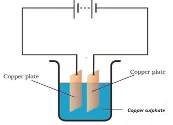 Class 8 Science Sample Paper -2  for 2023-24