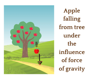 The falling of an apple from a tree
