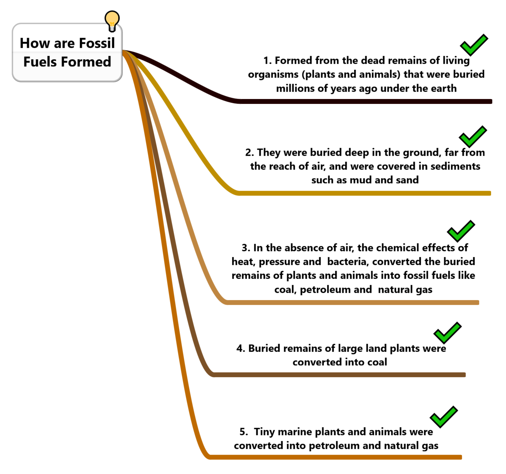 How Fossil Fuels were Formed