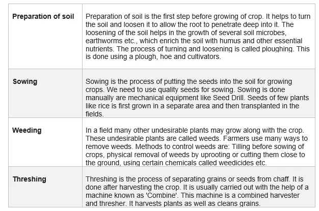 Crop Production and Management Chapter 1 Class 8 NCERT solutions