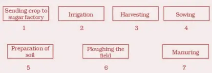Crop Production and Management Chapter 1 Class 8 NCERT solutions