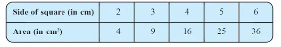 Graphs Exercise 15.3 NCERT