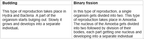 Reproduction in Animals Class 8 NCERT solutions