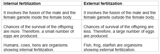 Reproduction in Animals Chapter 9 Science  Class 8 NCERT solutions