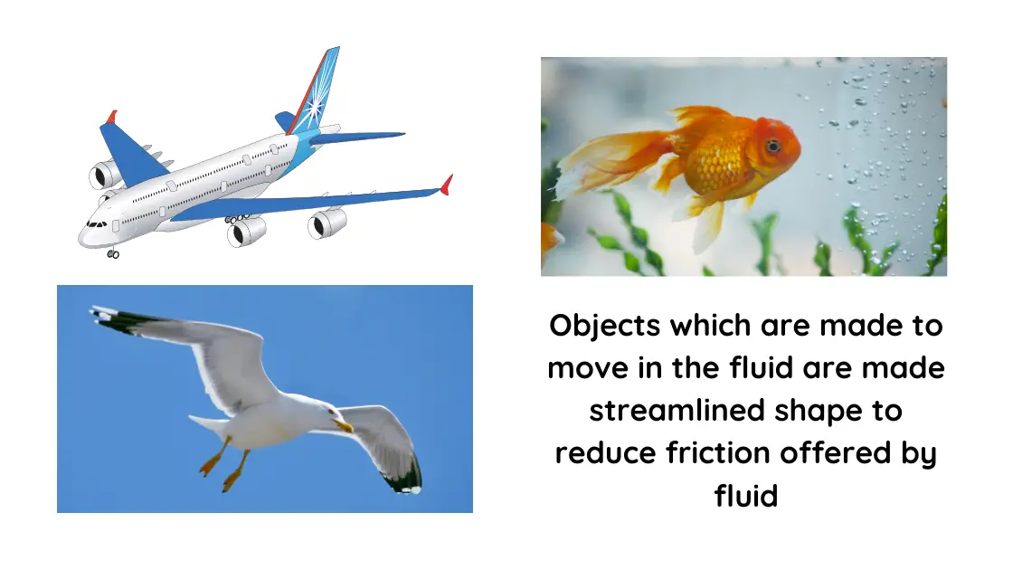 shapes of objects moving in fluid