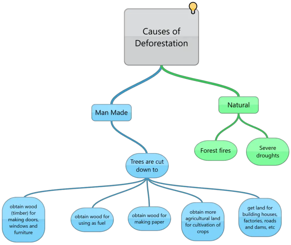 Reasons of Deforestation