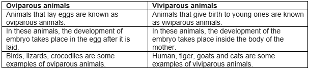 reproduction in animals class 8 questions and answers 