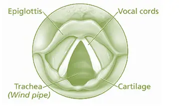 Sound Chapter 10 Class 8 Science  NCERT solutions