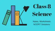 NCERT Solutions for Class 8 Science