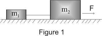 Applying Newton law of motion