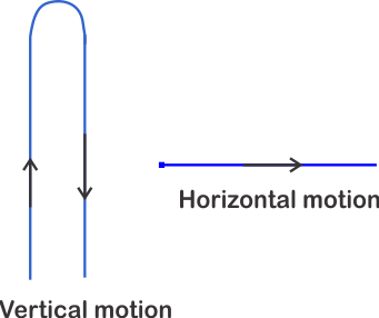 projectile motion as seen along horizontal and vertical directions